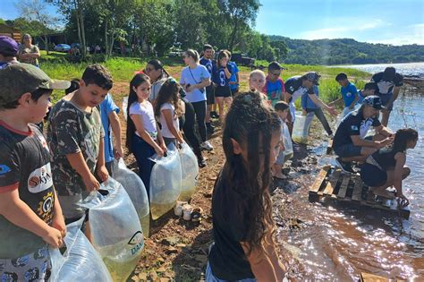 Dia Do Igua U Estado Vai Soltar Milh O De Peixes Nativos No Rio