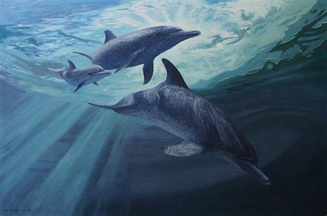 Atlantic Spotted Dolphins - Gerry Miles Paintings