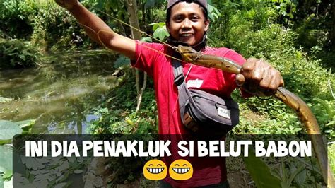 Tidak Disangka Lokasi Ini Ada Belut Babonnya Eel Fishing Youtube