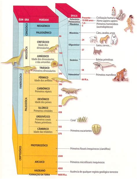 Tabela De Tempo Geológico E Comparação 24 Horas Veja Escala E Dicas