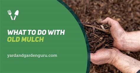 What To Do With Old Mulch