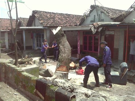 Bpbd Sidoarjo Kerja Bakti Bersihkan Puing Bekas Angin Kencang