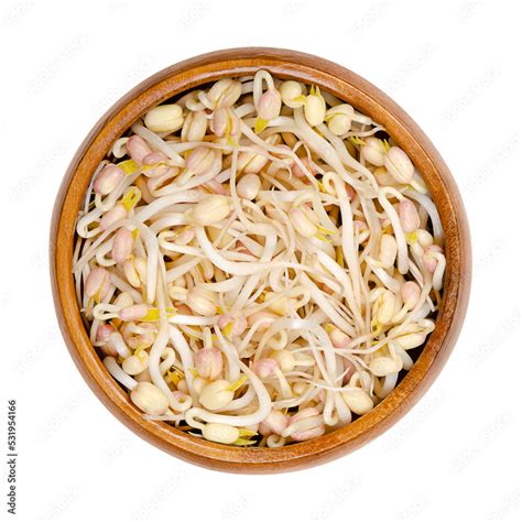 Mung Bean Sprouts In A Wooden Bowl Vegetable Grown By Sprouting Mung