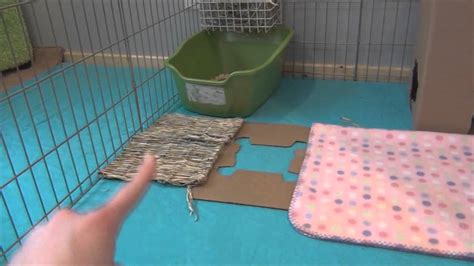 How to set up your rabbits cage - YouTube