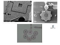 Pptx Ic Fabrication Overview Procedure Of Silicon Wafer Production