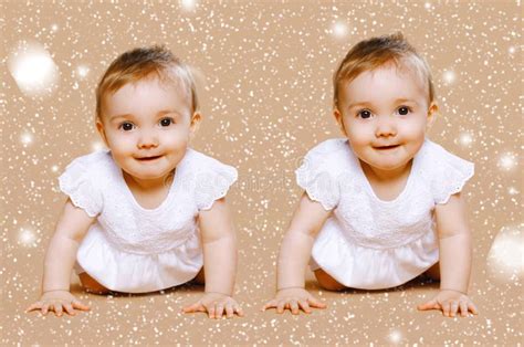 Funny Twins Baby Stock Photo Image Of Curious Funny 46315570