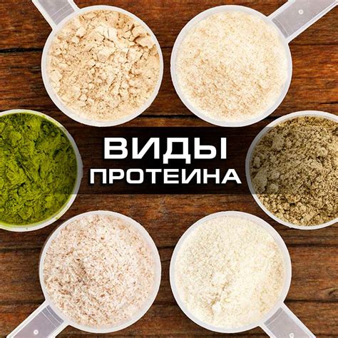 Разновидности протеина Блог NOSOROG