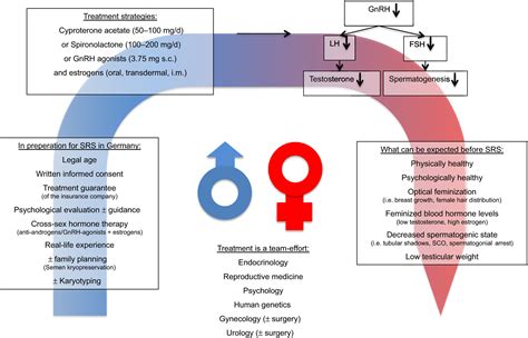 Shemale Hormone Telegraph