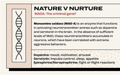 The Science Behind Serial Killers Infographic Behance