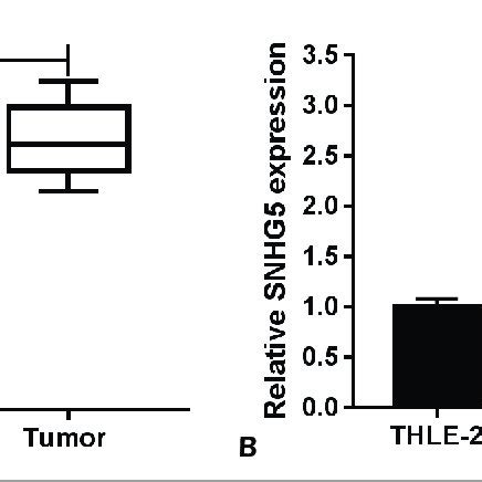 Snhg Is Upregulated In Hcc Tissues And Cell Lines A B The Expression