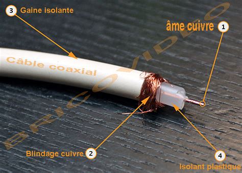 Prise Cable Coaxial Wikilia Fr