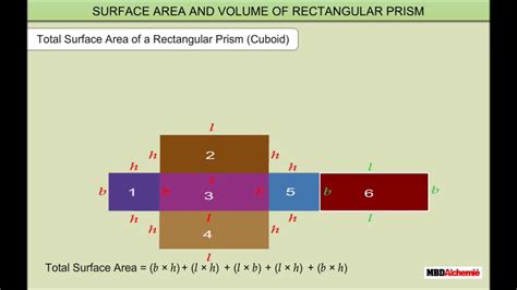 Surface Area And Volume Of Rectangular Prism Cuboid Youtube