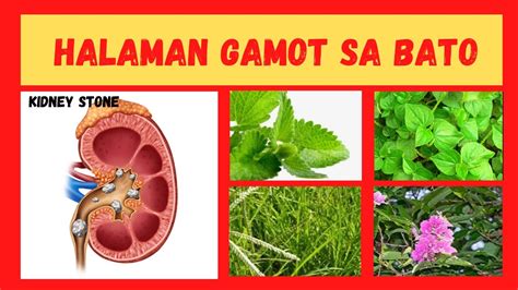 Anong Gamot Ang Mabisang Pampalaglag Ng Bata Medisinagamot