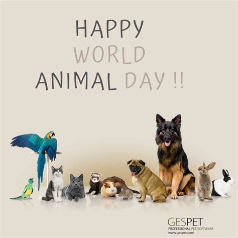 Happy World Animal Day 🐶🐱🐰🐮 🐷🐴 🐝 🐢🐄 🐖🐿 Worldanimalday2019