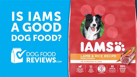 IAMS Dog Food Reviews › DogFoodReviews.com