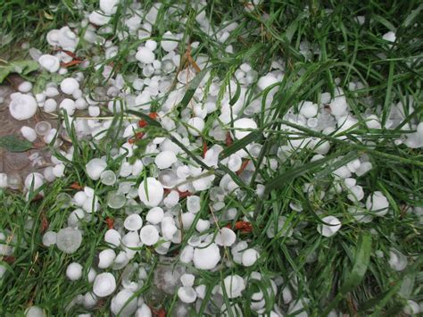 Warnungen Vor Unwettern Nach Dem Sturm Ist Vor Dem Sturm Region