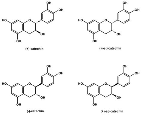 Structures Of Catechin Epicatechin Catechin And Download Scientific Diagram