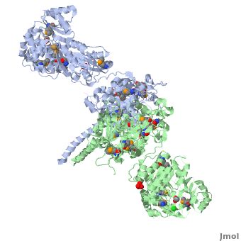 Deoxyerythronolide B Synthase Debs Proteopedia Life In D