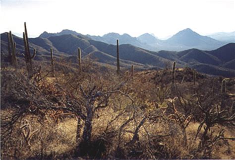 New Guide to Geologic History of Tucson Mountains | UANews