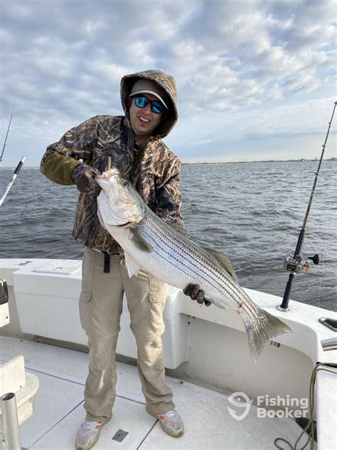 The Striper Catching Continues Highlands Fishing Report Fishingbooker