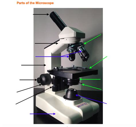 Microscope Lab Quiz Review Parts Functions And Proper Use Diagram Quizlet