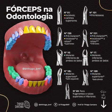 Tipos De Retalho Odontologia SOLOLEARN