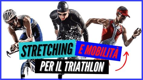 Esercizi di stretching allungamento e mobilità articolare per il