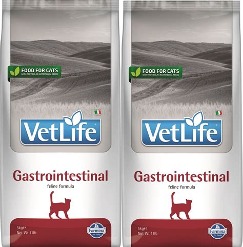 FARMINA Vet Life Cat Gastrointestinal Aliments Pour Chats Souffrant De