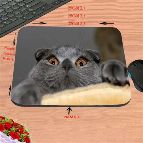 Animal Series Of Cute Little Mouse Office Computer Mouse Pad Notebook ...