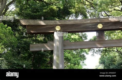 Torii gate meiji jingu shrine shibuya tokyo Stock Videos & Footage - HD ...