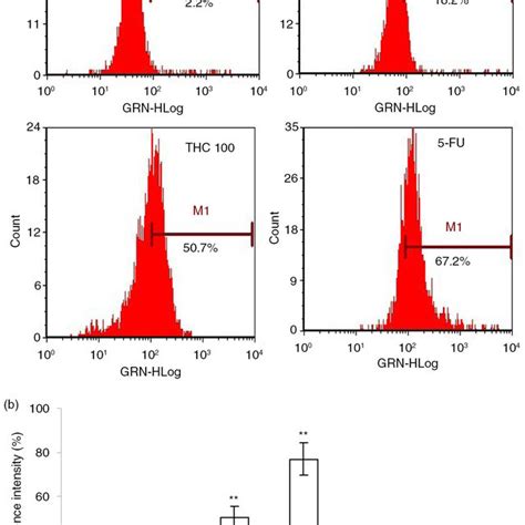 Effects Of Thc On Intracellular Ros Generation In Mcf Cells A