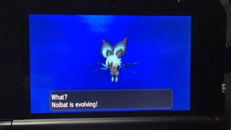 Shiny Noibat Pokemon X And Y Evolving Shiny Noibat Youtube