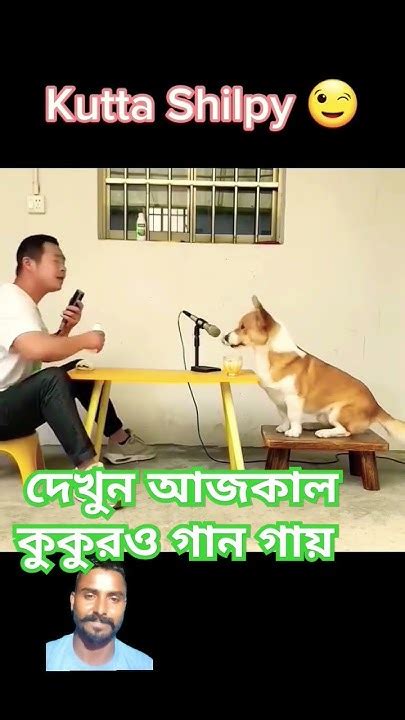 কুকুরটা কি সুন্দর গান গাইছে কেউ বুঝতে পারছ Funnydog Viralvideo