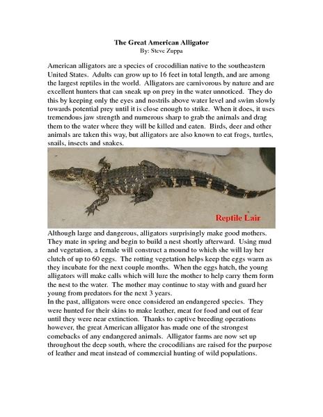 The Great American Alligator Worksheet For 6th 10th Grade Lesson Planet