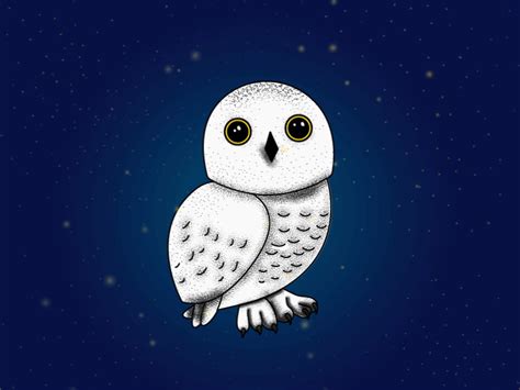 Hedwig by brigitte on Dribbble