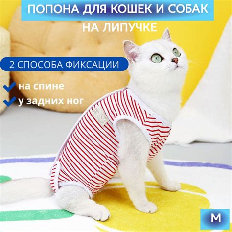 Попона после стерилизации и операций для кошек и мелких собак купить на ...