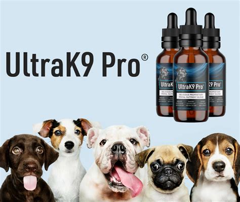 Ultra K9 Pro Reviews for Dogs [The 7 Undeniable Facts] | Kent Reporter