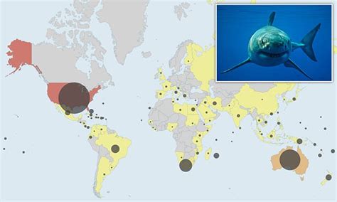 World's shark attack hotspots REVEALED in interactive map - TrendRadars