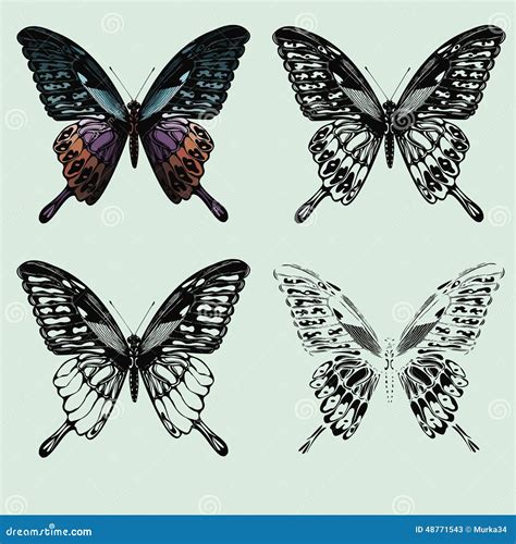 Set Of Butterflies Hand Drawing Vector Illustration Stock Vector Image 48771543