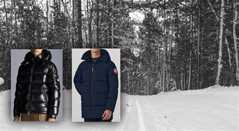 Canada Goose Vs Moncler Jackets Which Brand Is Better Trails And