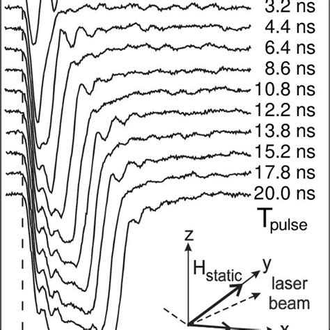 Time Evolution Of The X Component Of The Magnetization Mx Measured At Download Scientific