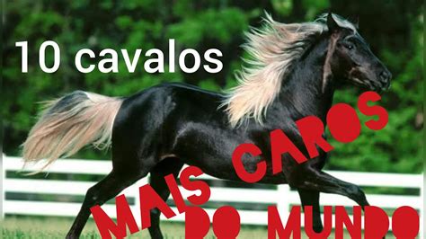 Cavalos Mais Caros Do Mundo