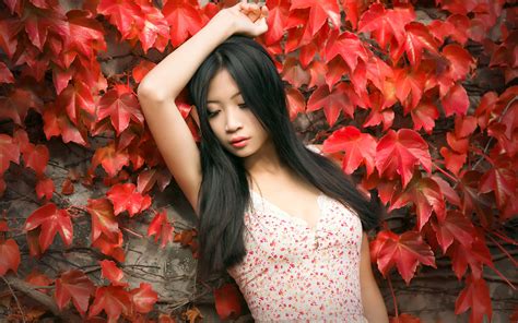 4K Asian Brunette Girl Foliage Hands HD Wallpaper Rare Gallery
