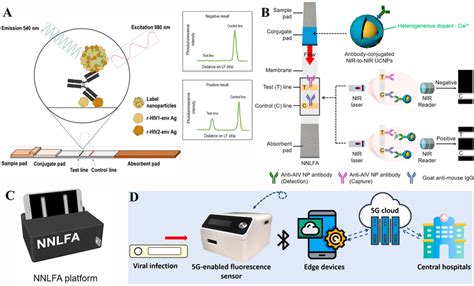 Schematic Illustration Of Upconversion Nanoparticle UCNP Based LFIAs