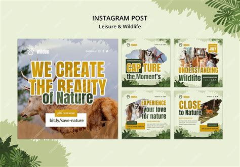 Free PSD | Leisure and wildlife instagram post