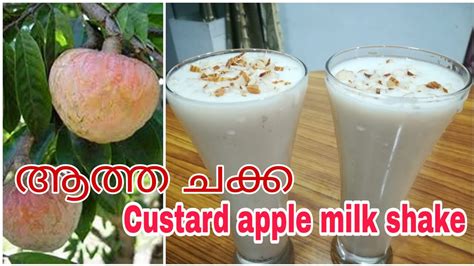 Custard Apple Milk Shake Aathachakka Milk Shake Youtube