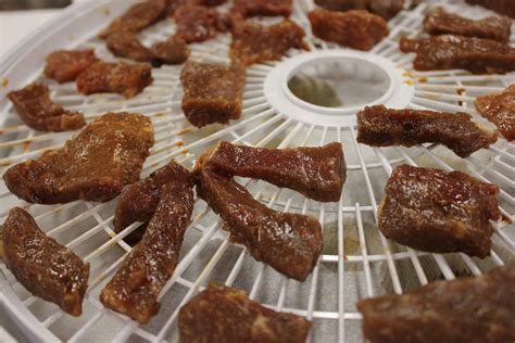 22 Deer Jerky Recipe Dehydrator DemmiBoston