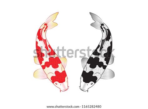 Coy Fish: Over 204 Royalty-Free Licensable Stock Vectors & Vector Art ...