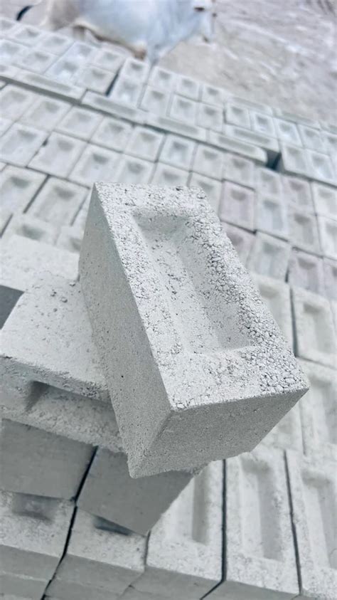 Cement Fly Ash Bricks 9 In X 3 In X 2 In At Rs 7 In Pithampur ID