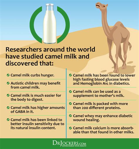 Ten Nutritional Healing Benefits Of Camel Milk 54 OFF